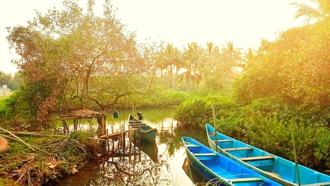 Shruthi'S Aarohi-Nature'S Retreat Mulappilangād エクステリア 写真