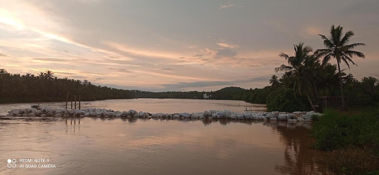 Shruthi'S Aarohi-Nature'S Retreat Mulappilangād エクステリア 写真