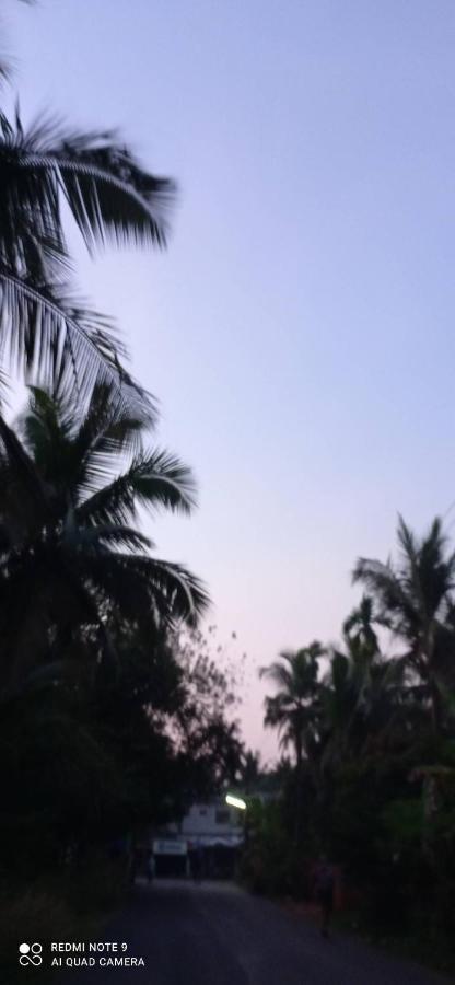 Shruthi'S Aarohi-Nature'S Retreat Mulappilangād エクステリア 写真
