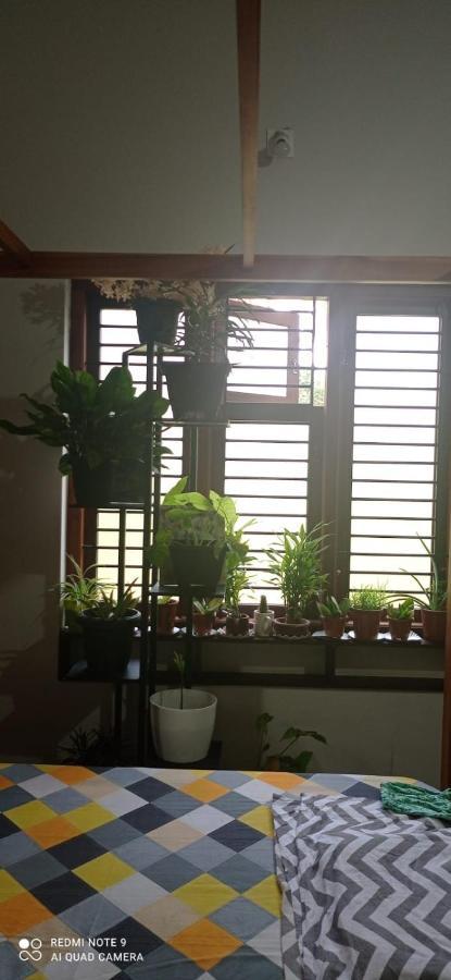Shruthi'S Aarohi-Nature'S Retreat Mulappilangād エクステリア 写真