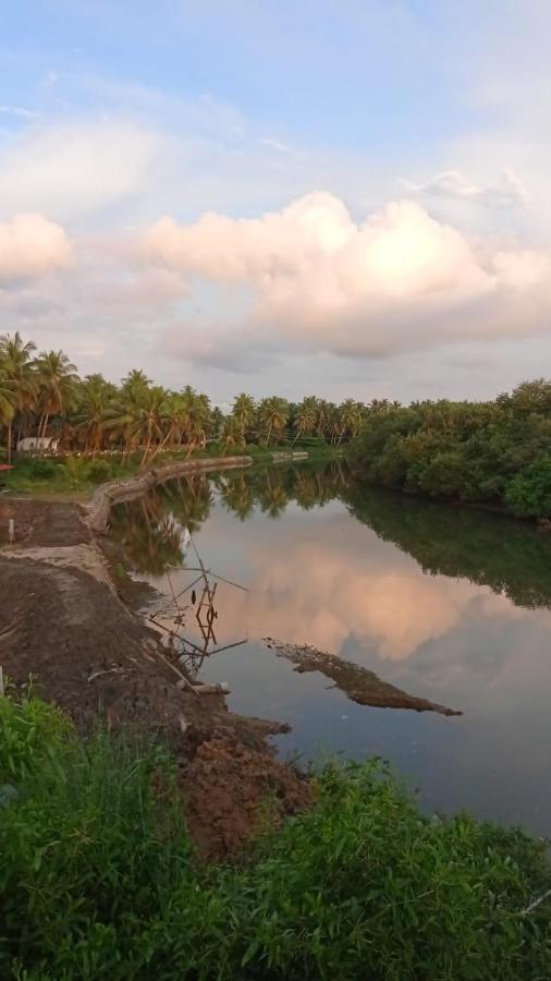 Shruthi'S Aarohi-Nature'S Retreat Mulappilangād エクステリア 写真